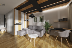 salon1.1